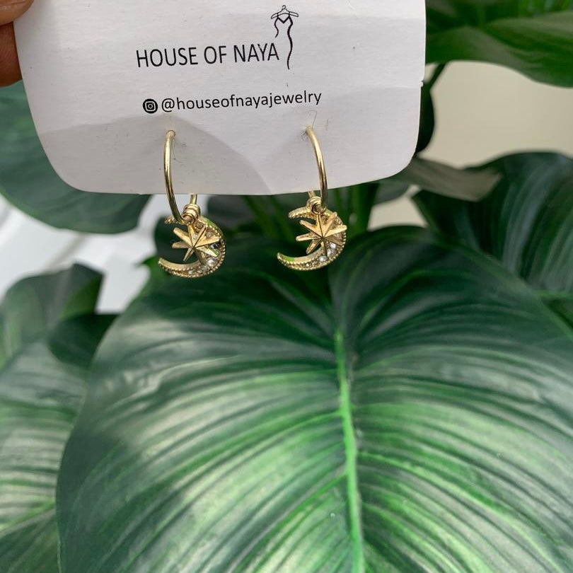 Fashion earrings