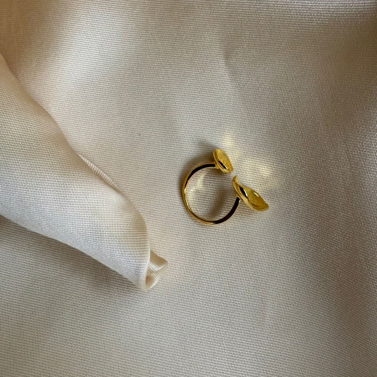 Ring 031