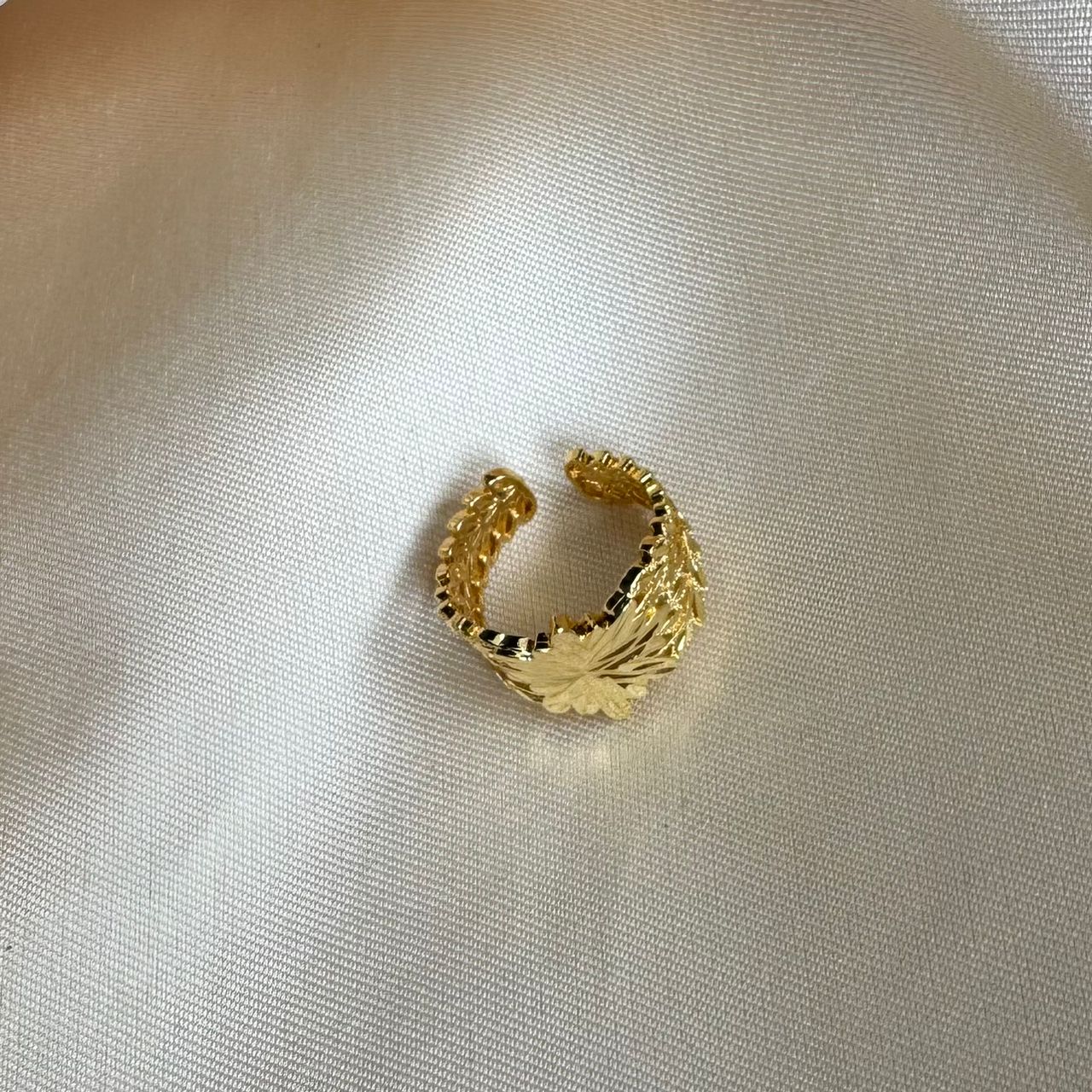 Ring 010