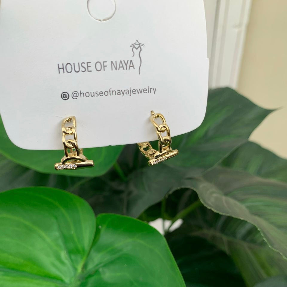 Fashion earrings