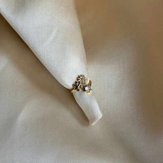 Ring 039
