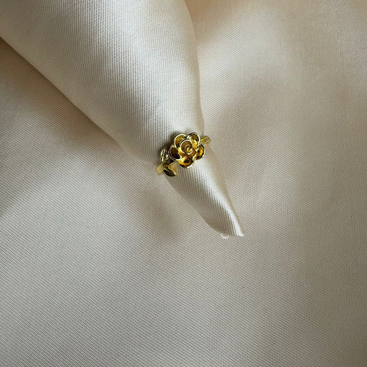Ring 009