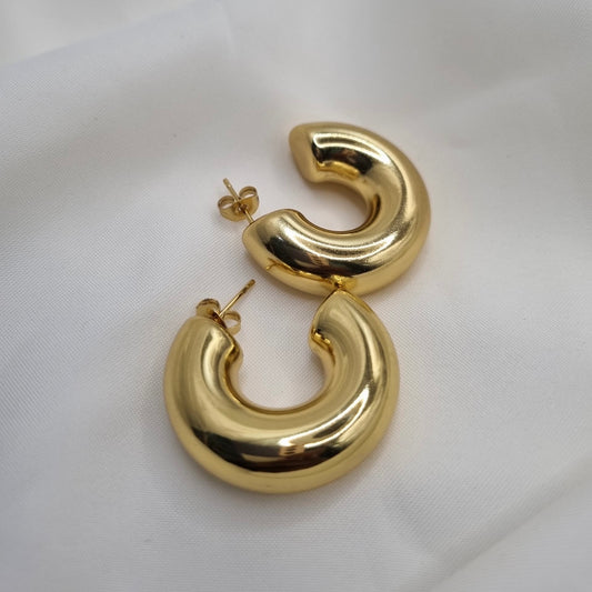 Fashion earrings