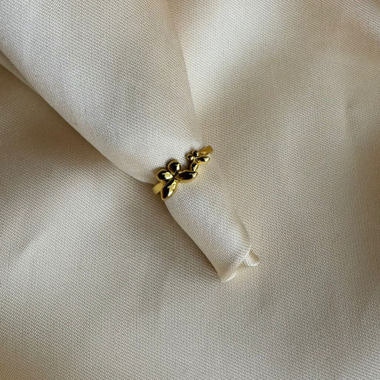 Ring 035