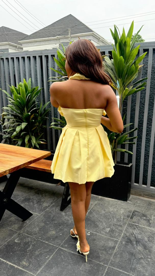 Nancy cotton dress
