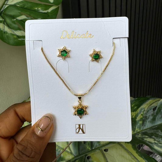 Jewelry set 705