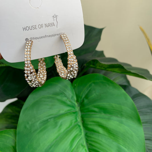 Fashion earrings