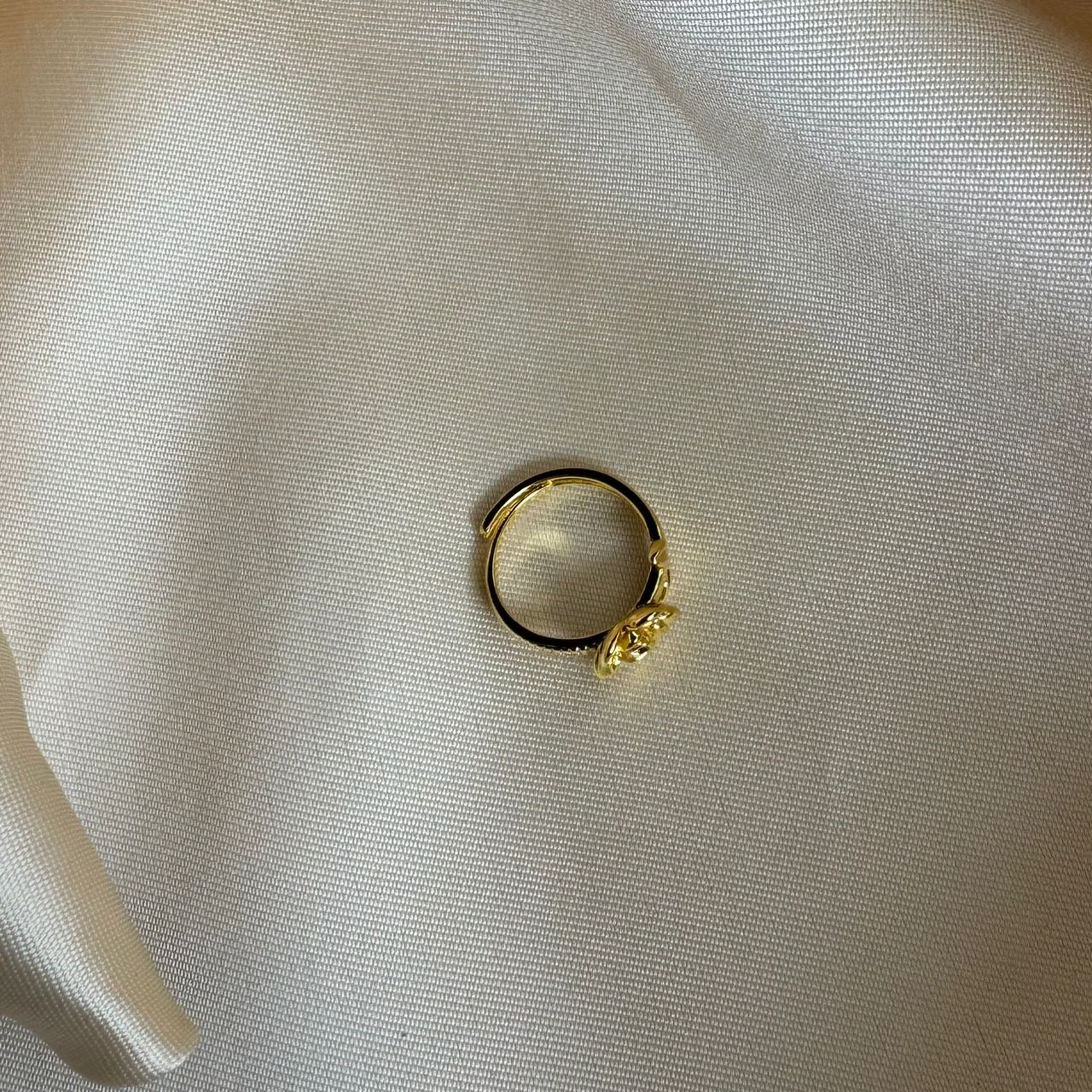 Ring 009