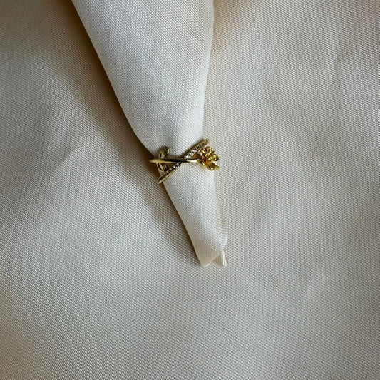 Ring 029