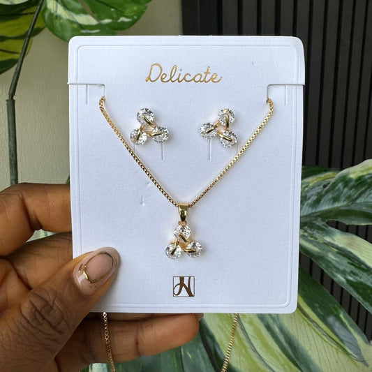 Jewelry set 710