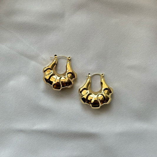 Fashion earrings