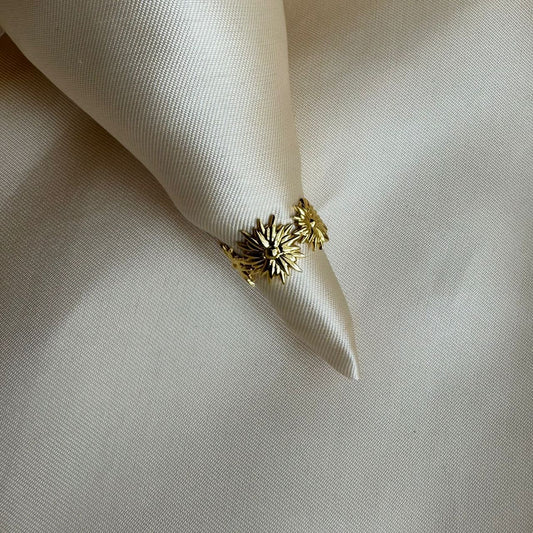 Ring 021