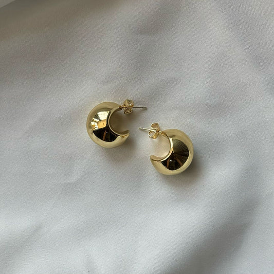 Fashion earrings
