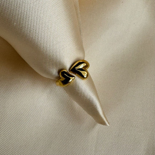Ring 013