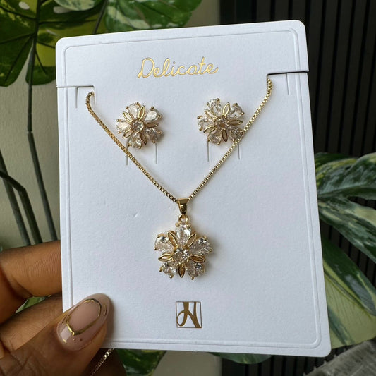 Jewelry set 704