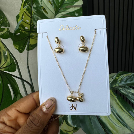 Jewelry set 708