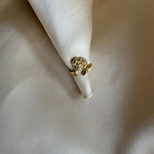 ring 001